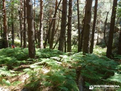 Circo de La Pedriza;rutas por la pedriza a tu aire senderismo tiendas de montaña en madrid